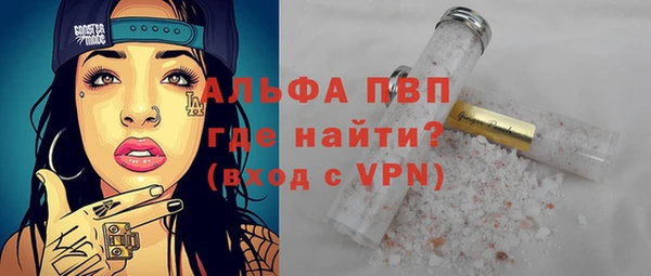 сатива Вяземский