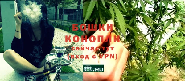 прущие грибы Верея