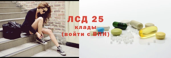 сатива Вяземский