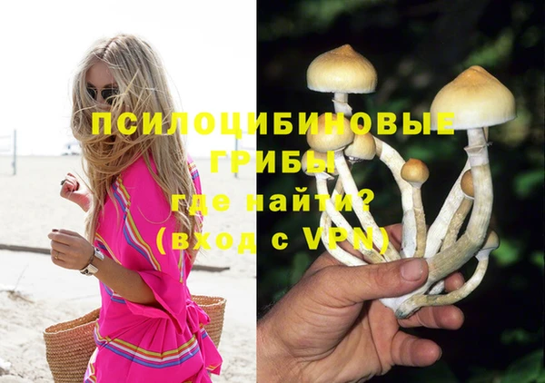 сатива Вяземский