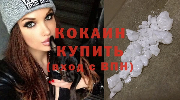 сатива Вяземский
