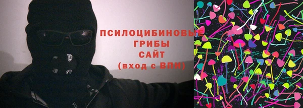 сатива Вязники