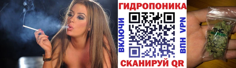 Бошки марихуана VHQ  hydra сайт  Ветлуга 